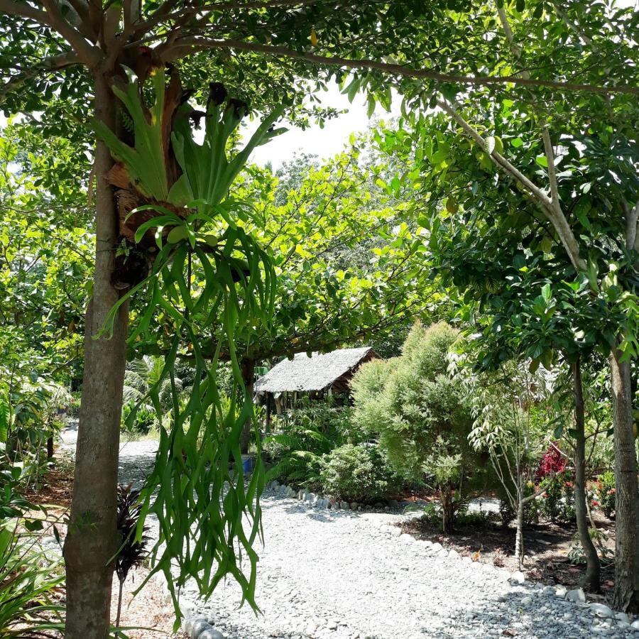 Magpie Homestay & Jungle Trekking Especially For Guest Trekking With Us Bukit Lawang Exterior foto