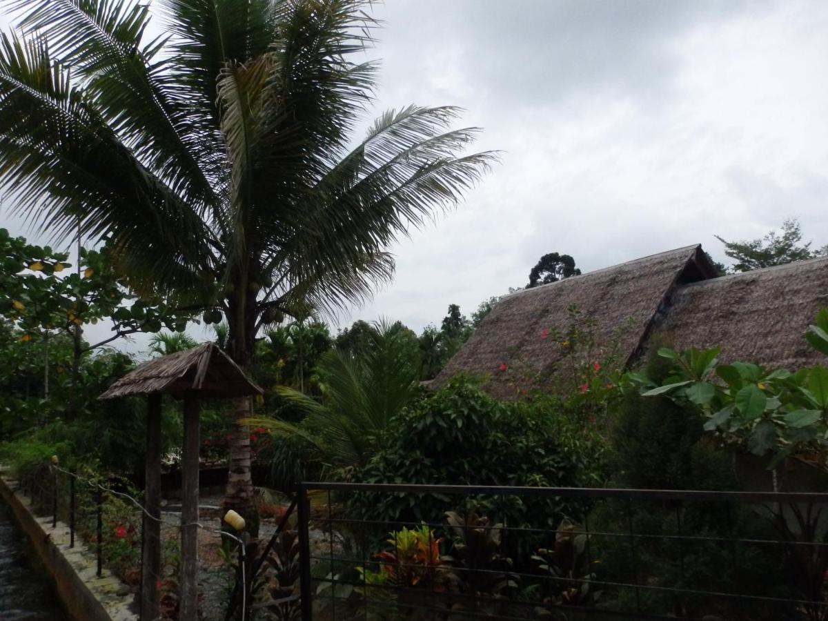 Magpie Homestay & Jungle Trekking Especially For Guest Trekking With Us Bukit Lawang Exterior foto