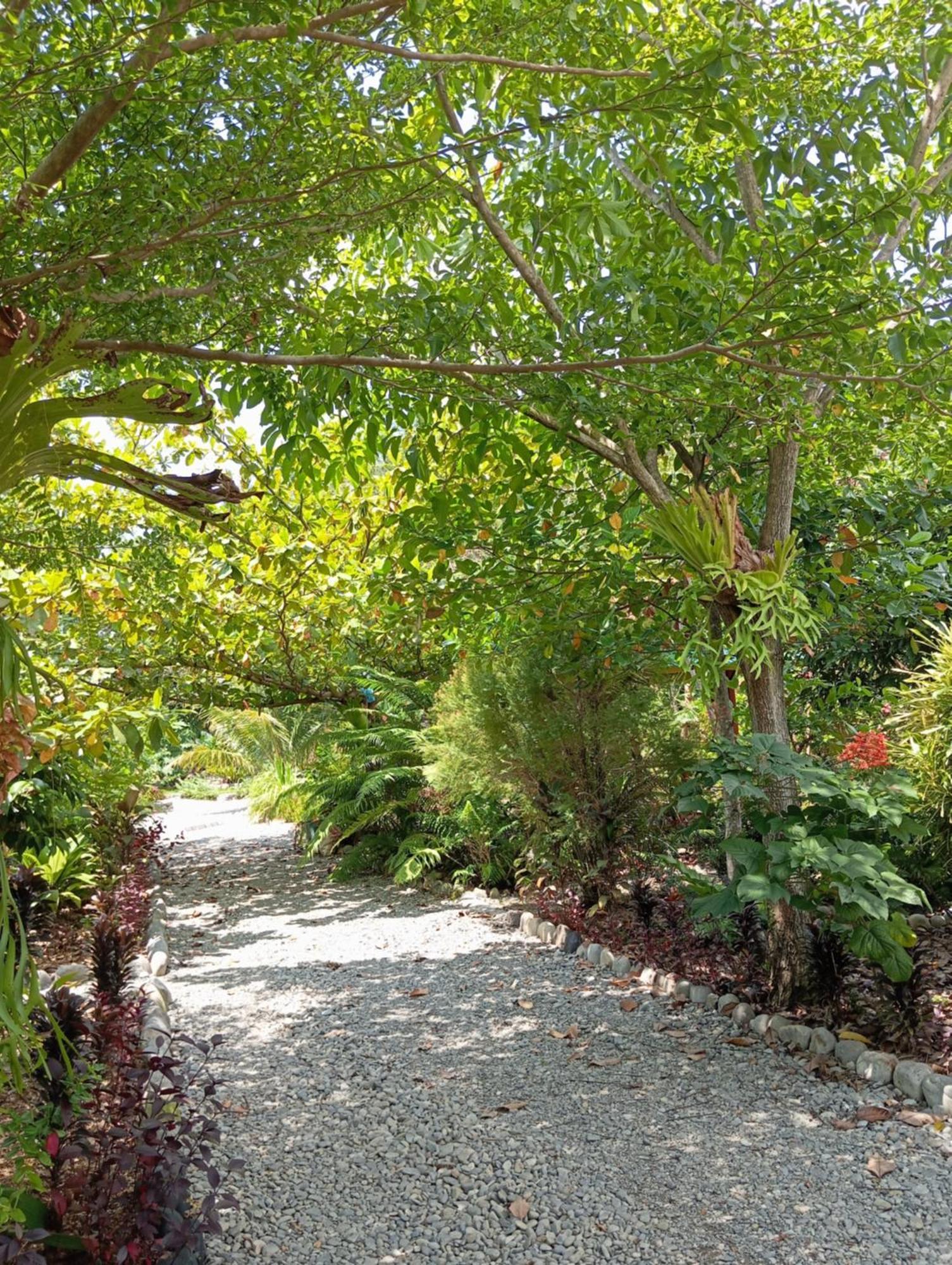 Magpie Homestay & Jungle Trekking Especially For Guest Trekking With Us Bukit Lawang Exterior foto