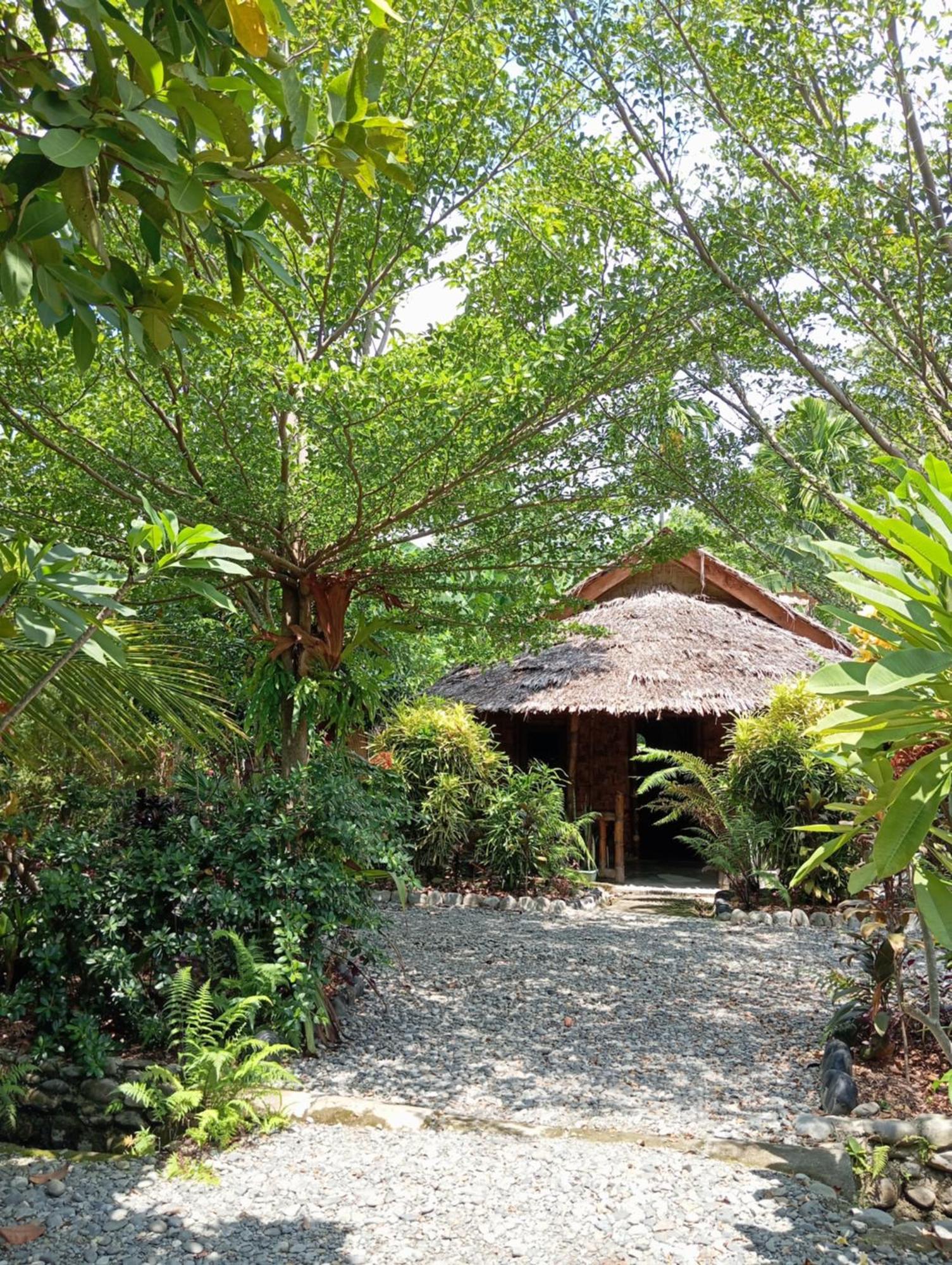 Magpie Homestay & Jungle Trekking Especially For Guest Trekking With Us Bukit Lawang Exterior foto