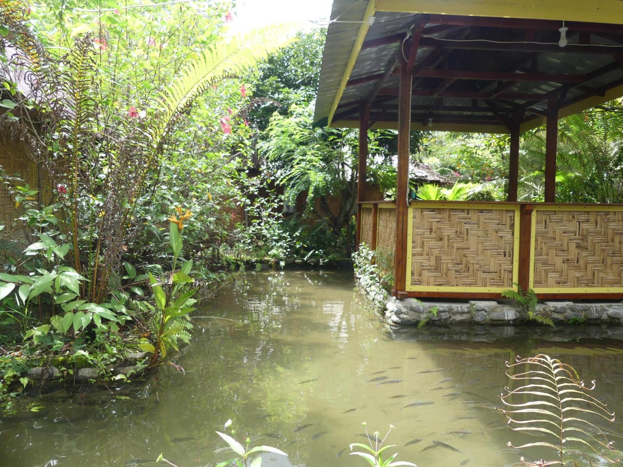 Magpie Homestay & Jungle Trekking Especially For Guest Trekking With Us Bukit Lawang Quarto foto
