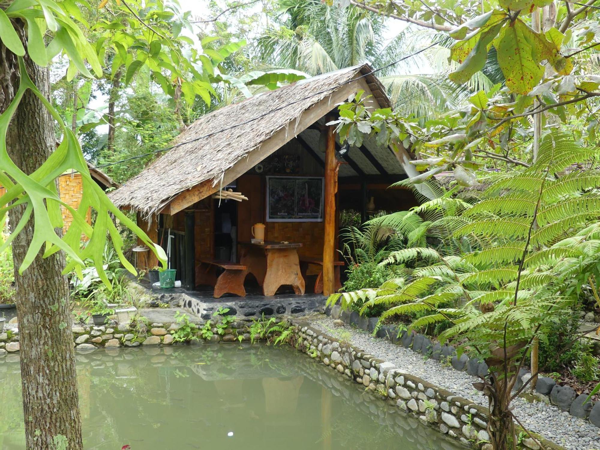 Magpie Homestay & Jungle Trekking Especially For Guest Trekking With Us Bukit Lawang Exterior foto